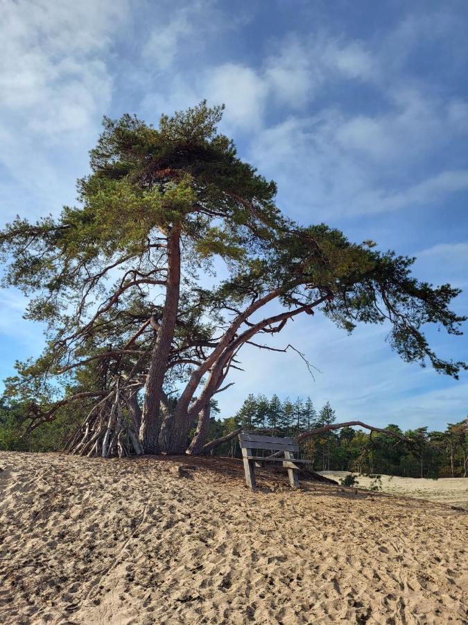 Vechtdal Beerze Buren Buitenkant foto